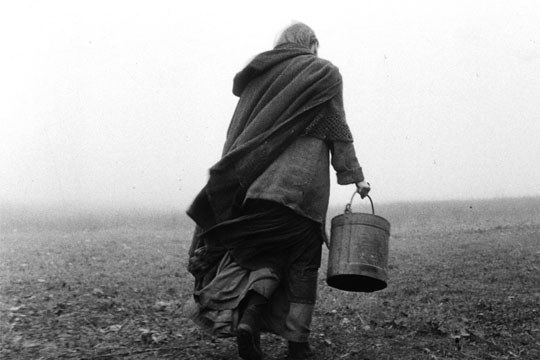 Turin Horse Still